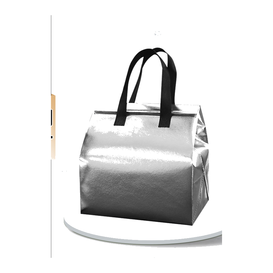 Silver insulated thermal bag color